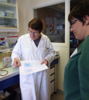 Journée rencontre patients & Chercheurs – AFH – INSERM U1176