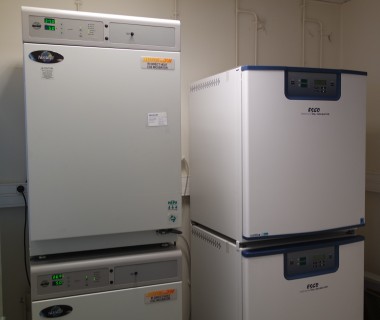 Labo L1 – INSERM U1176
