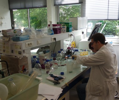 Salle d’enzymologie – INSERM U1176