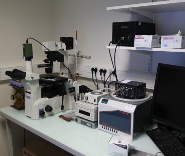 Microscope inversé – INSERM U1176