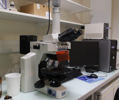 Microscope droit – INSERM U1176