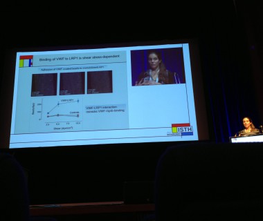 ISTH 2013, Amsterdam – INSERM U1176