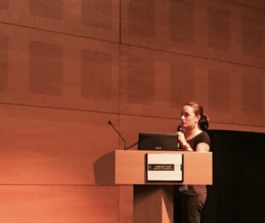 Marion,  GEHT, Grenoble 2015