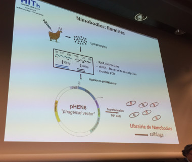 Gabriel presentation