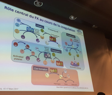 Olivier presentation