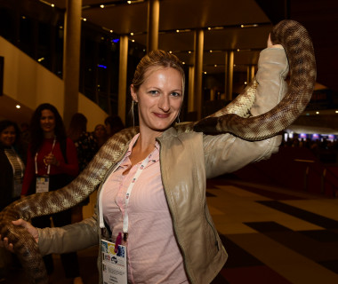 Charlotte serpent